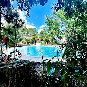 4* Hotell Tequila Cancun